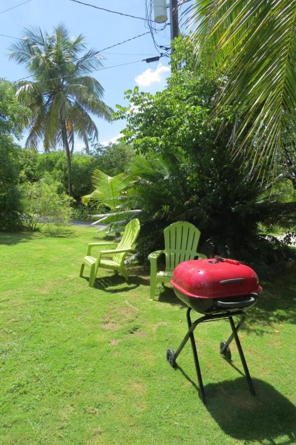 جوفرنرز هاربور Orchid Cottage By Eleuthera Vacation Rentals المظهر الخارجي الصورة